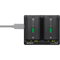 Sony NP-SA100 Dual Battery Charger