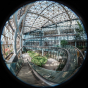 Laowa 4.5-10mm f/2.8 CF Zoom Fisheye (Canon RF)