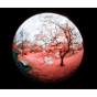 Laowa 4.5-10mm f/2.8 CF Zoom Fisheye (Sony FE)