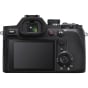 Sony RX10 V Premium 25x High-Zoom Camera