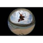 Sony FE 8-14mm F3.5 Fisheye G Lens