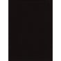 ProMaster Muslin background 10'x12' Black