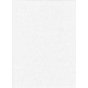 ProMaster Muslin background 10'x12' White