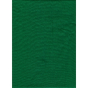 ProMaster Muslin background 10'x12' Chromakey Green