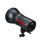 PROMASTER Unplugged LED500D MonoLED 2 Light Kit