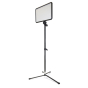 ProMaster Backlight Stand with Folding Base 5.5" - 34"