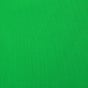 ProMaster Solid Backdrop 5'x9' Wrinkle Resistant Chroma Green