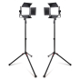 ProMaster Chroma CL68RGB 2-Light Transport Kit - RGBWW 6"x8"
