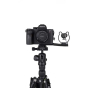 ProMaster 5" Cold Shoe Mount