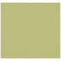 WESTCOTT X-Drop Pro Wrinkle-Resist Backdrop - Light Moss Green (8'x8')