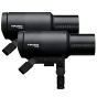 PROFOTO Pro-D3 750 Duo Kit
