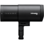Profoto B30 Duo Kit