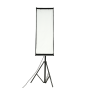 Nanlite Forza 300B II