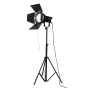 NANLITE Forza 300 II