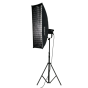 NANLITE Forza 300 II