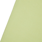 WESTCOTT X-Drop Pro Wrinkle-Resist Backdrop - Light Moss Green (8'x8')
