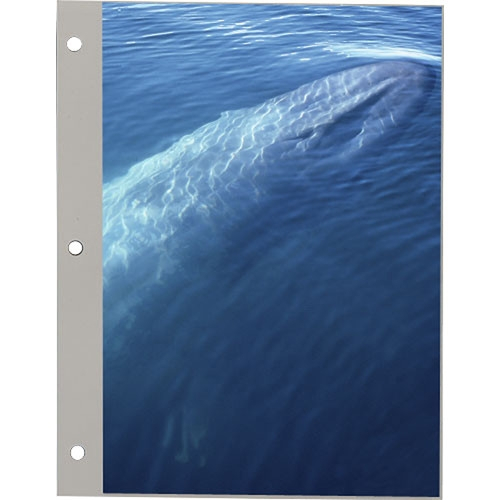 PIONEER SRF1200 Refill Pages for TR100 Album