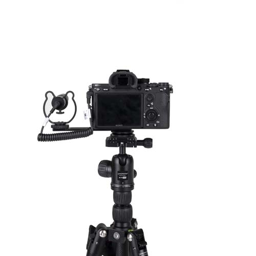 ProMaster 5" Cold Shoe Mount