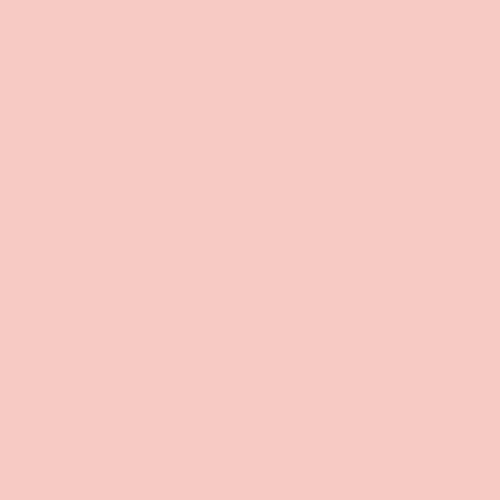 ROSCO Rose Tint 20"x24"
