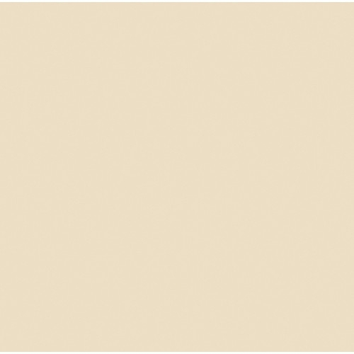 ROSCO Amber RoscoSun 1/4 CTO 20"x24" daylight conversion filter