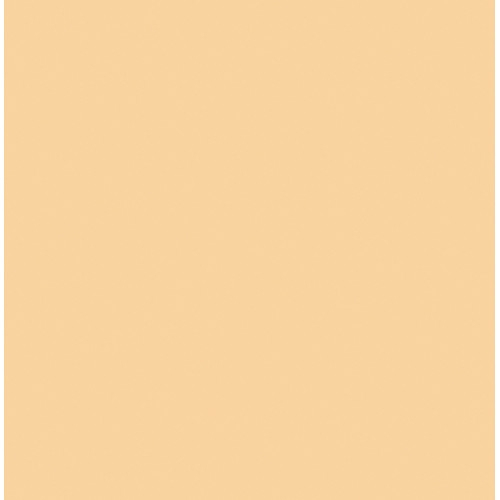 ROSCO 1/2 CTS Straw Gel 20"x24"