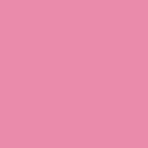 ROSCO Medium Pink 20"x24"