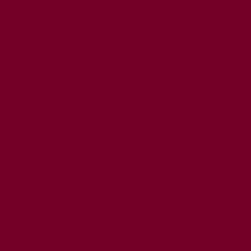 ROSCO Magenta 20"x24"