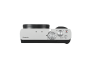 PANASONIC LUMIX ZS99 - Silver