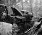CineStill Film BwXX 120 roll