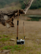 Peak Design Leash (Coyote)