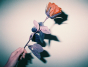Lomography LomoChrome Purple 110 - 2021 Forumla