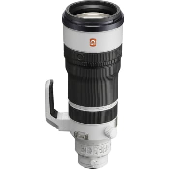 Sony FE 100-400mm f/4.5 GM OSS Lens