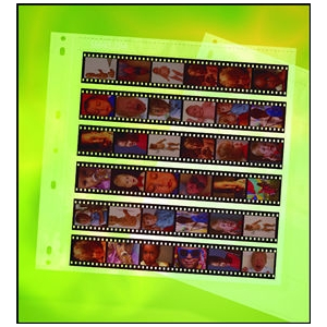 CLEARFILE Neg. Pages 100 pack 35mm   6 strips of 6 frames