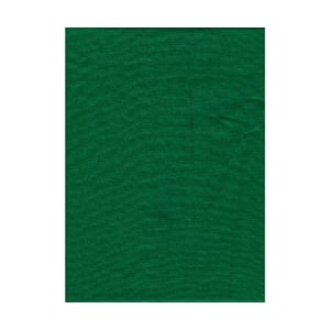 ProMaster Muslin background 10'x20' Chromakey Green