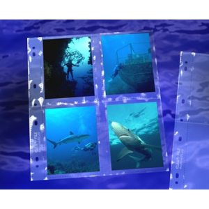 CLEARFILE Print Pages 25 pack Holds 8 - 3.5"x5"