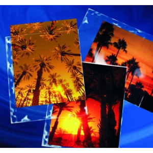 CLEARFILE Print Pages 25 pack Holds 2   8"x10"