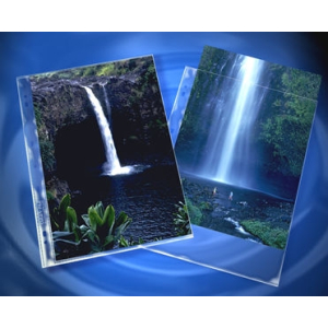 CLEARFILE Print Pages 100 Pack Holds 2 - 8"x12"