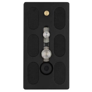 ProMaster Quick release for SPCH20 Head