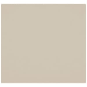 WESTCOTT X-Drop Pro Wrinkle-Resist Backdrop - Buttermilk White (8'x8')