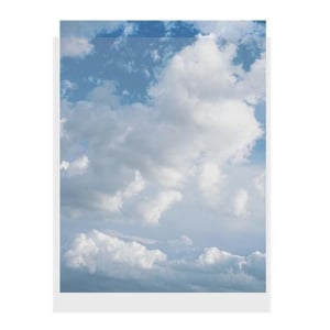 CLEARFILE Print Protectors 10 pack  holds 11"x17" prints