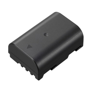 PANASONIC DMW-BLF19 Battery