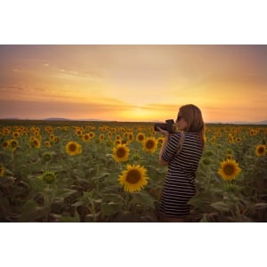 DODD CAMERA One-on-One Tutorial East 30th (for website use)