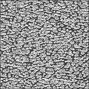 ROSCO Roscoflex SS 20"x24" sheet