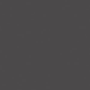 ROSCO Polarizing Filter 17"x20" Sheet