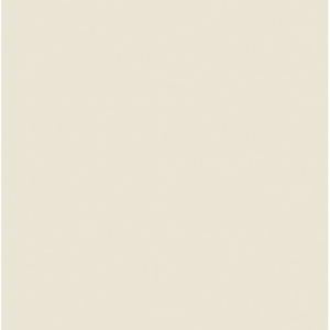 ROSCO Amber RoscoSun 1/8 CTO 20"x24" daylight conversion filter