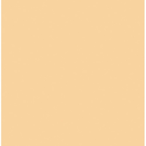 ROSCO 1/2 CTS Straw Gel 20"x24"