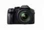 PANASONIC DMC FZ300 12MP 24x zoom Black Leica Lens 4K Video WiFi