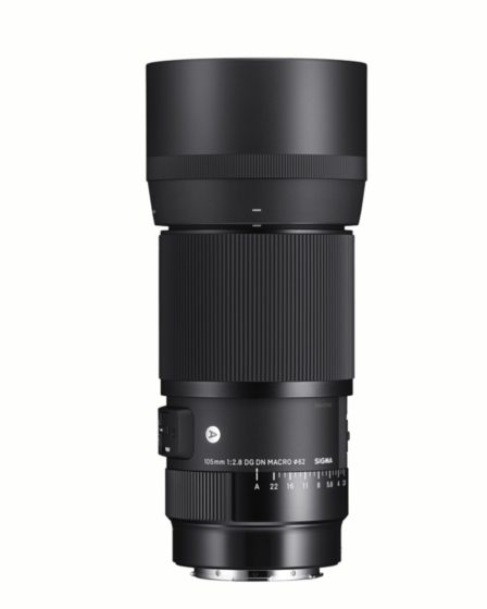 SIGMA 105mm f/2.8 Art DG DN Macro Lens for Sony FE