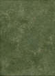 ProMaster Muslin background 10'x12' Green