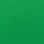 PHOTO BASICS 9'x10' Background Digital Green Screen Chromakey